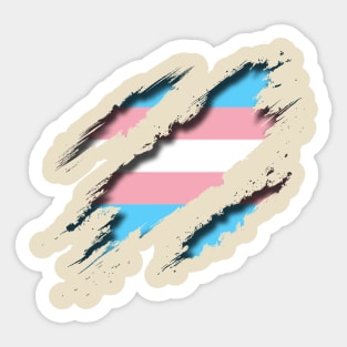 Transgender Shredding Sticker